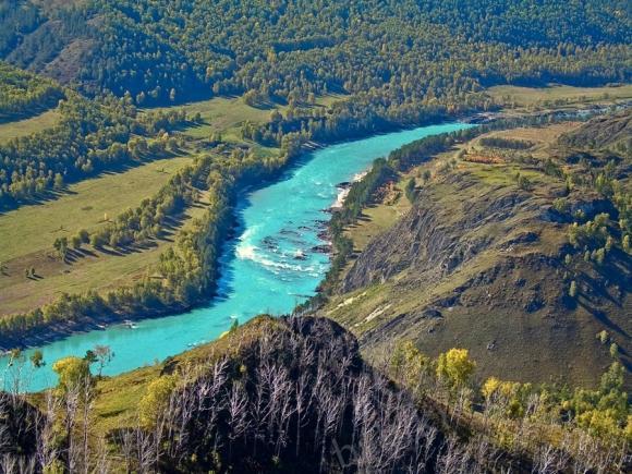 катунь река фото онлайн катунь река фото
